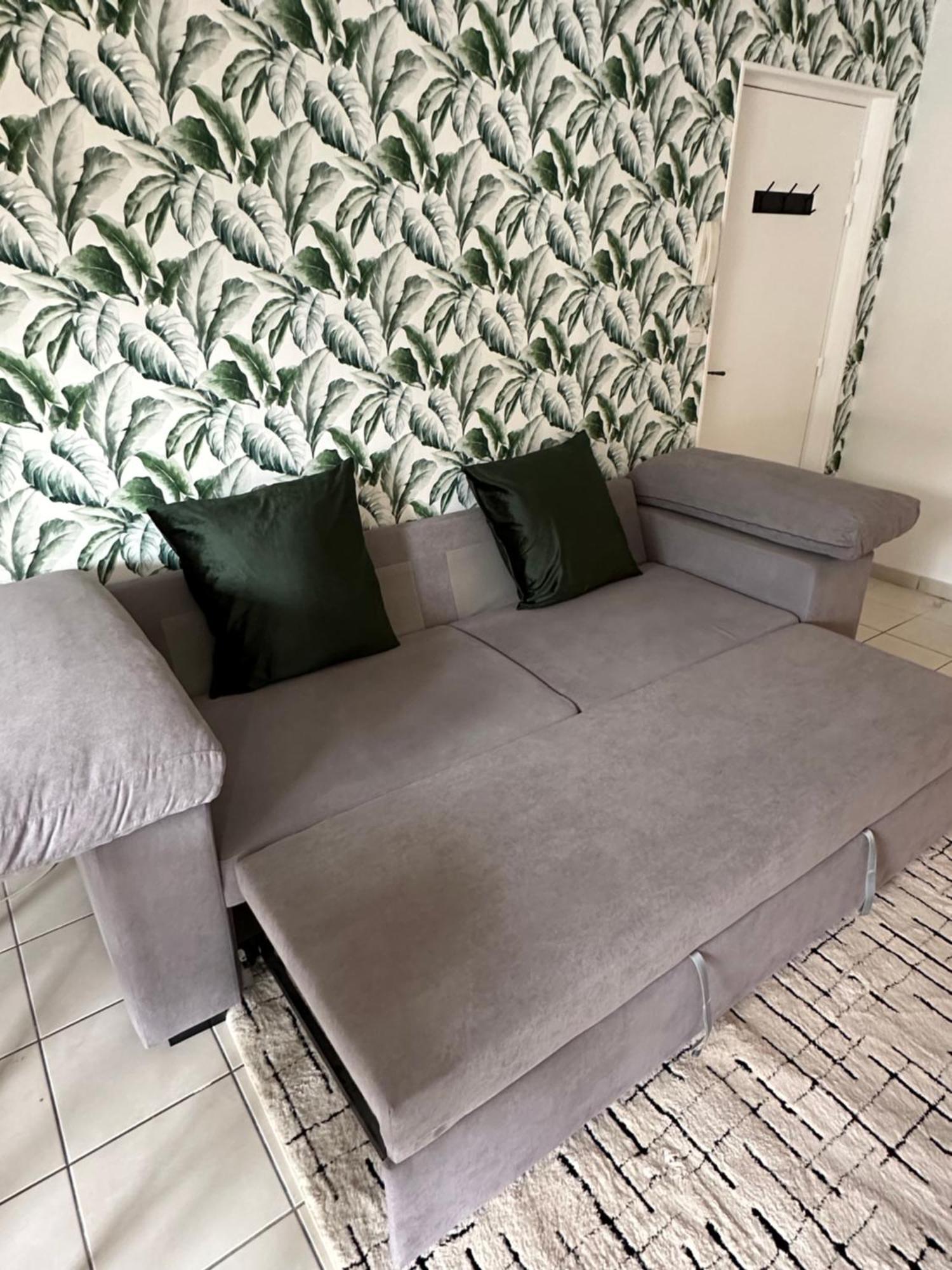 Appartement Entierement Renove 罗伊 外观 照片